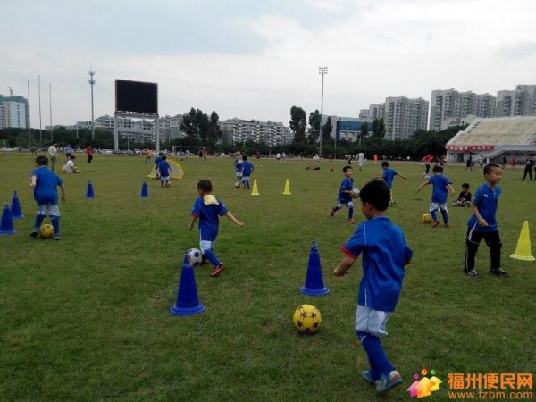 暑期福州小球王少儿足球训练营欢迎您的加入