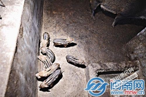 月薪多少才算高工资?5000以上算吗?