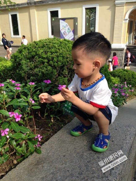 你可知Macau有多么好玩,记宝贝第一次出门远