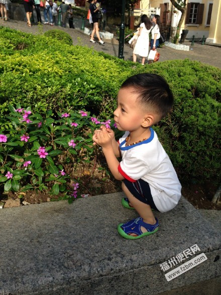 你可知Macau有多么好玩,记宝贝第一次出门远