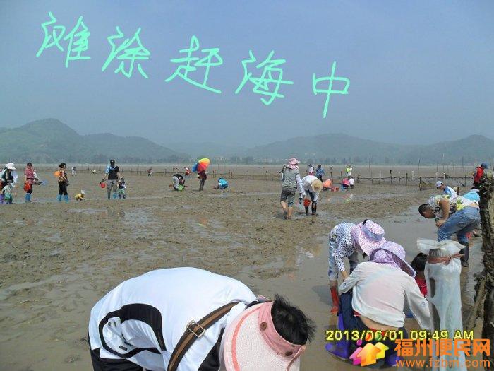 诺恩海鲜餐厅_海鲜餐厅装修效果图_海鲜广告(3)