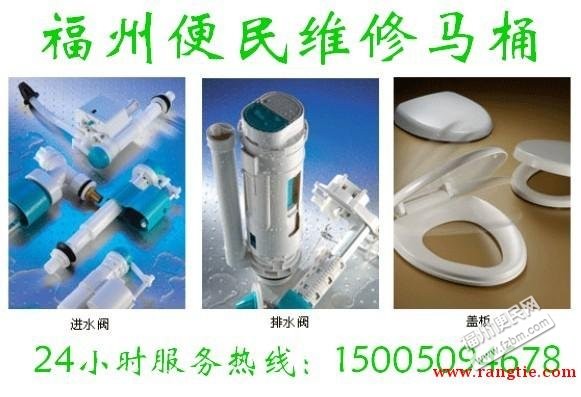 15291178715kEO3XCF.jpg